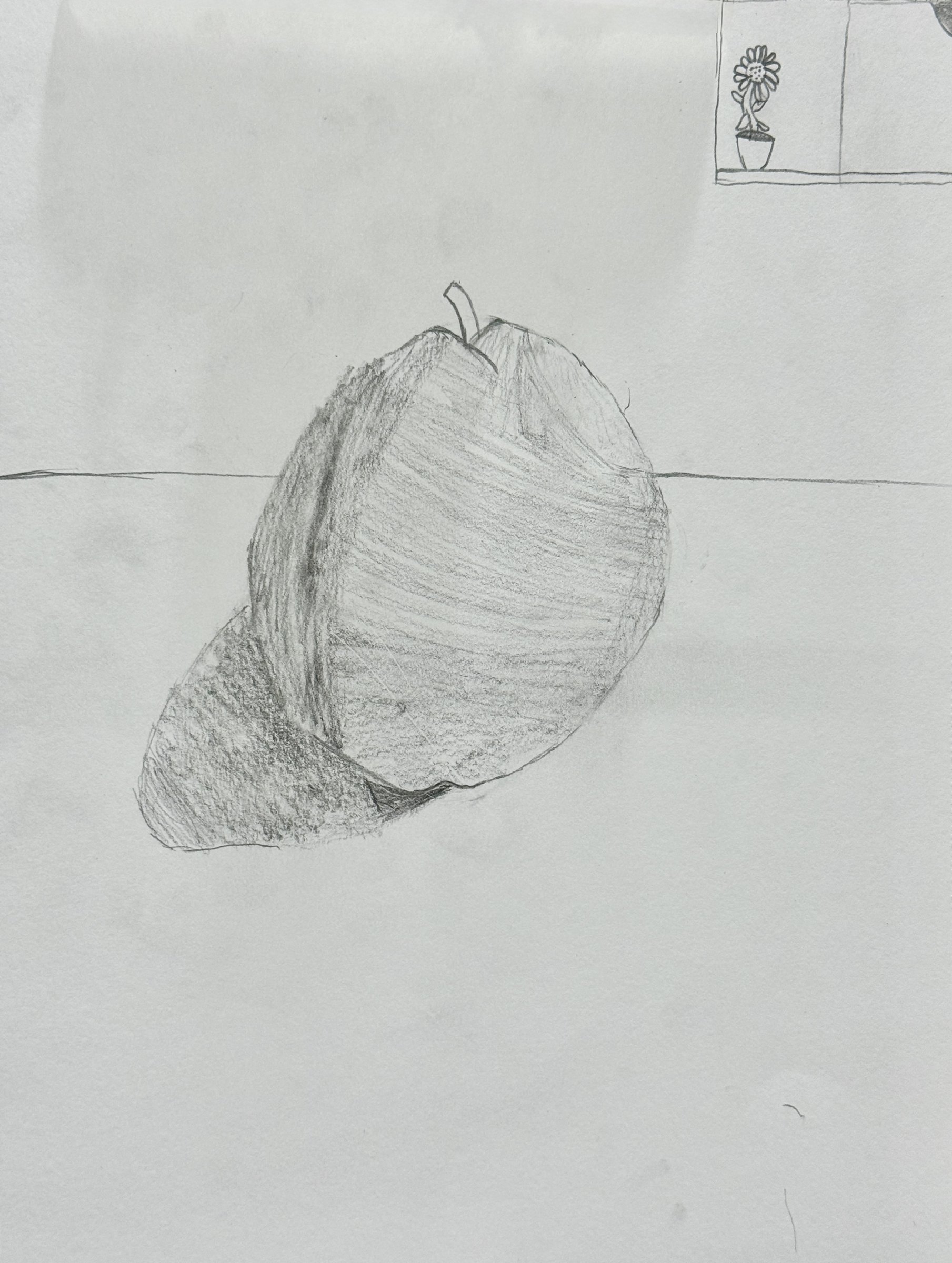 Student graphite study from the foundational phase