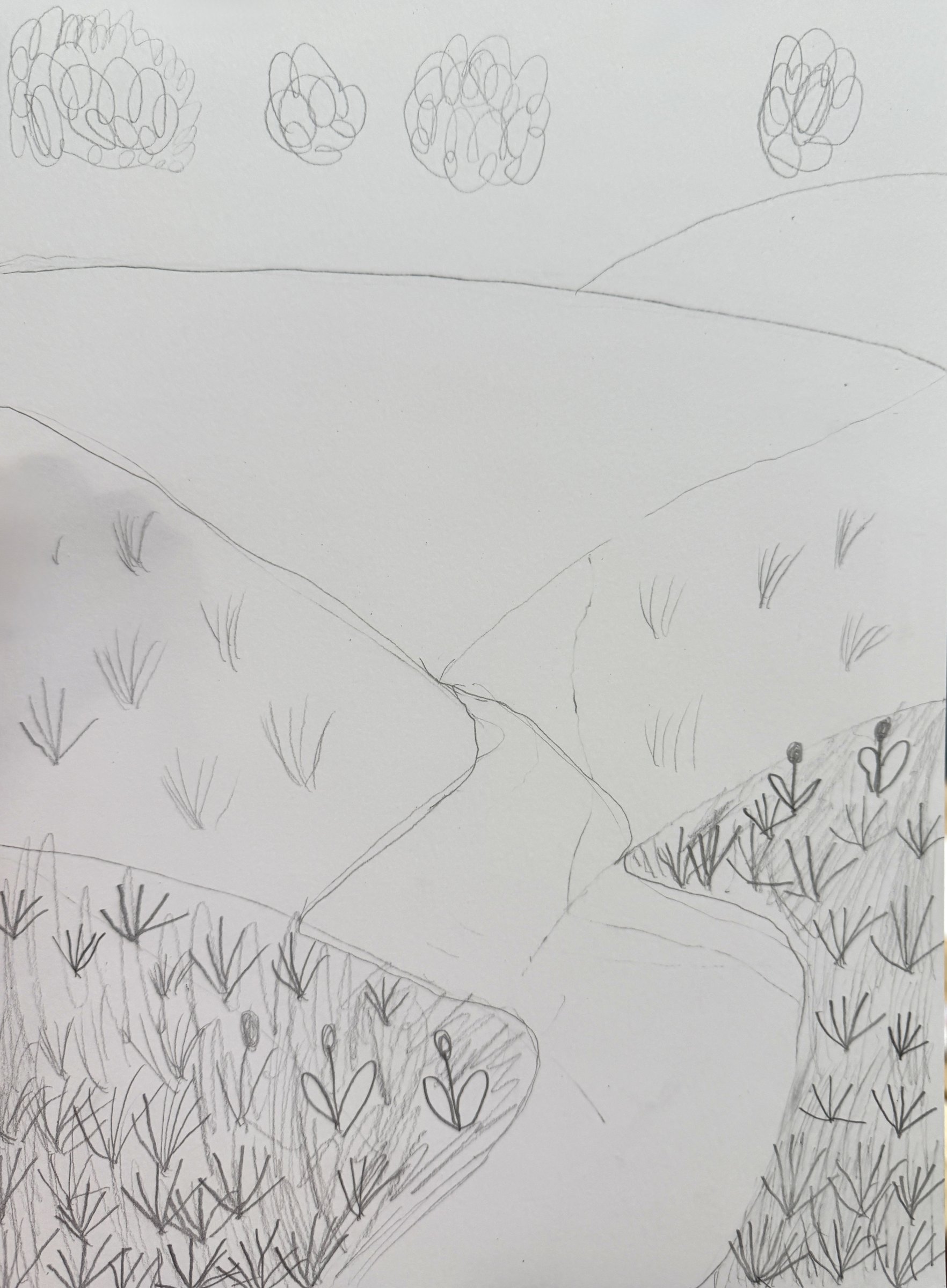 Student graphite study from the foundational phase